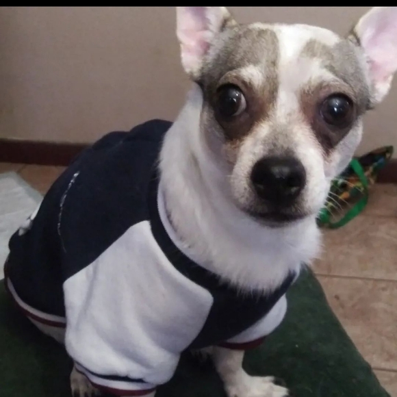 Meet the Posher - Picture 7 of 10